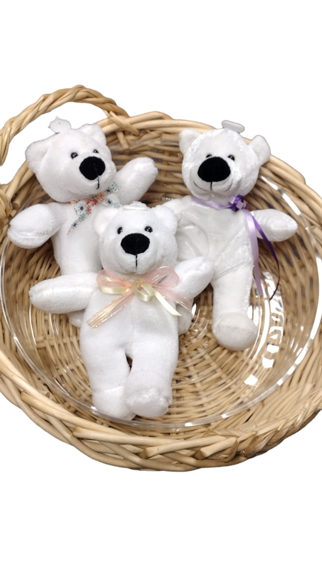 White Teddies